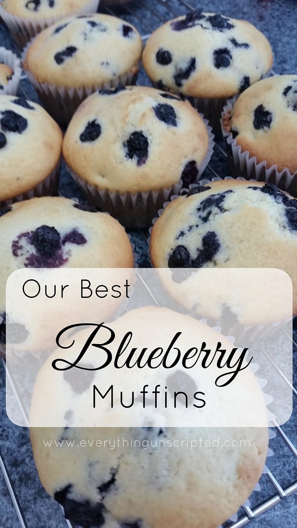 bluberrymuffins