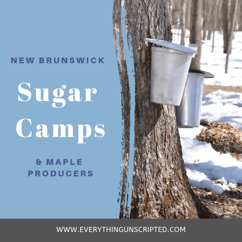 Maple Sugar Camps and Maple Producers in New Brunswick