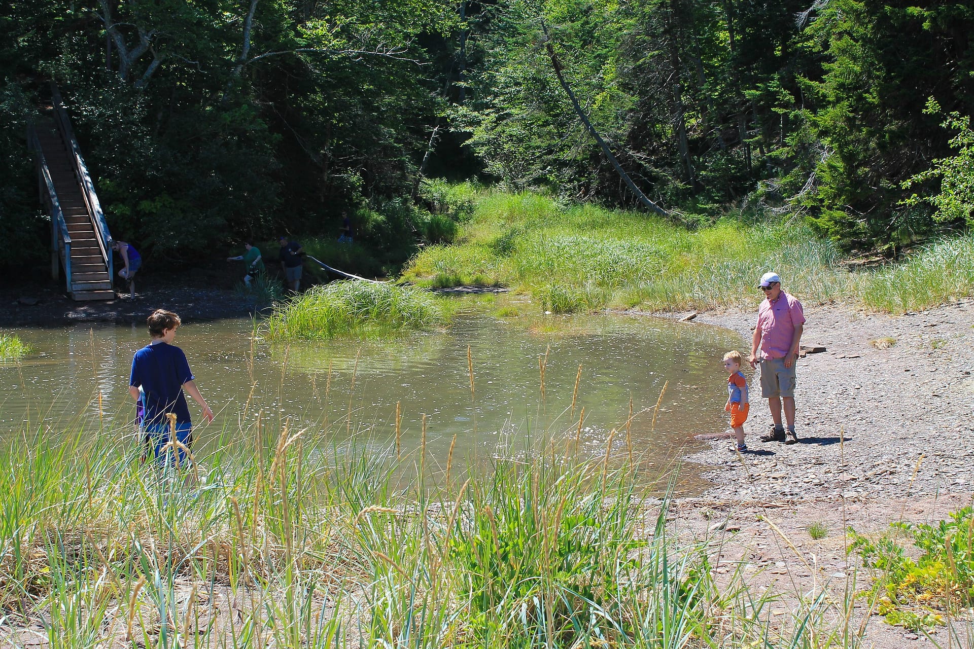 Herring Cove Beach at Fundy National Park New Brunswick