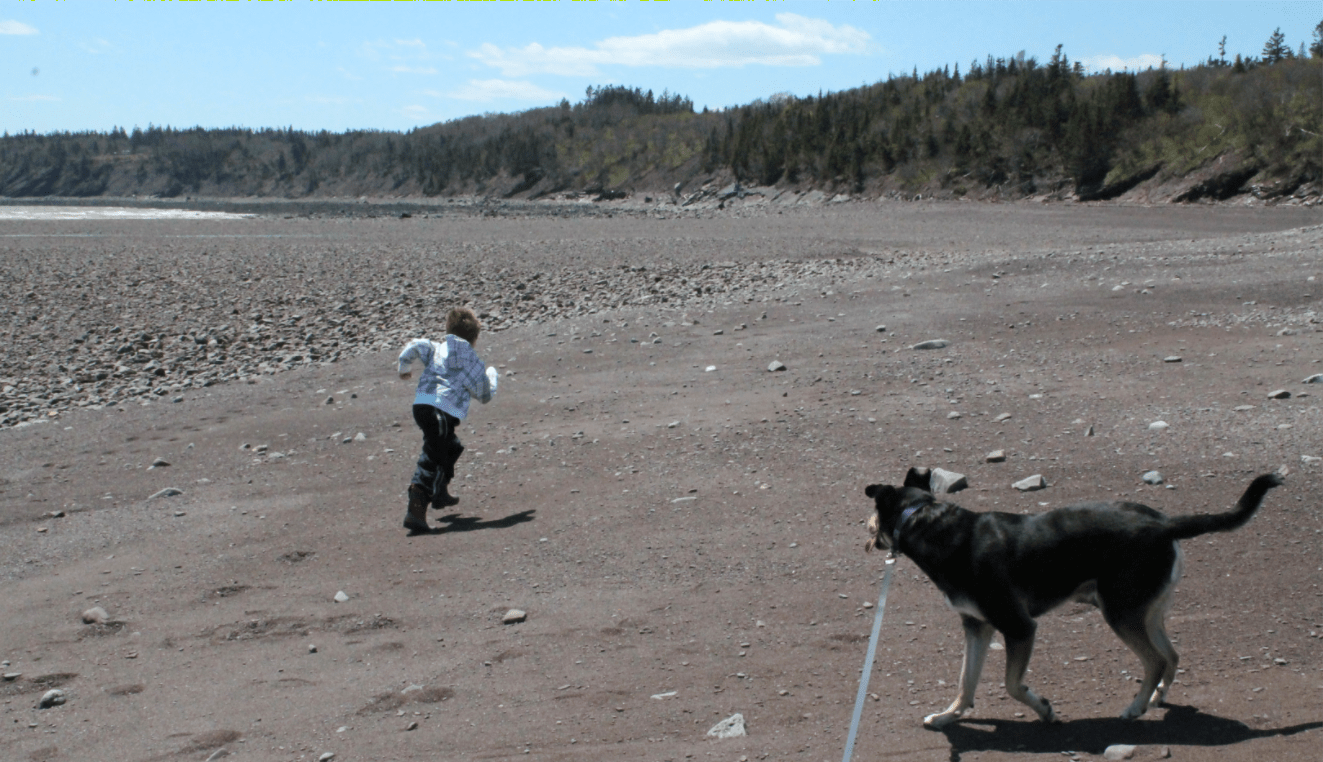 Gardner Creek Beach in New Brunswick