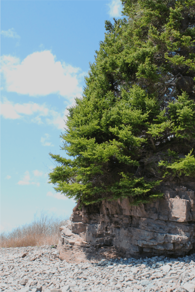 Gardner Creek Beach in New Brunswick